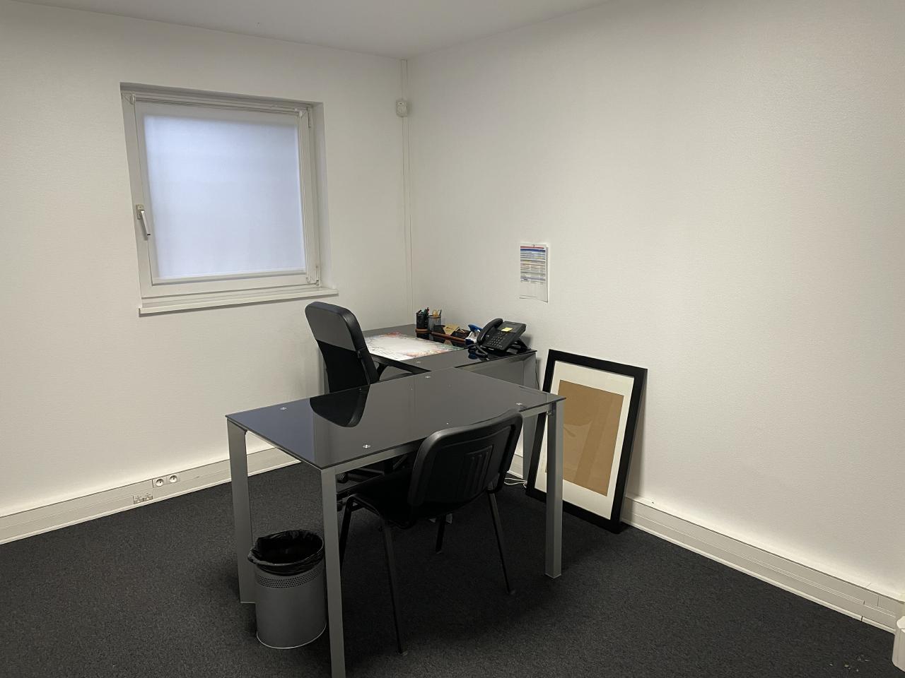 Local d'activité Geispolsheim 200m² Location local d'activité Geispolsheim Bas-Rhin OLACT2207835 4
